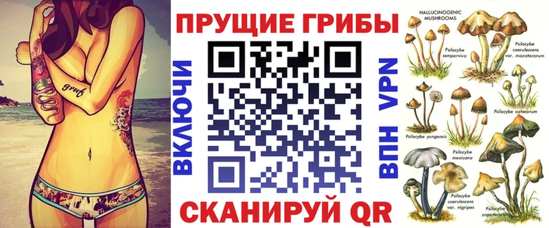 Псилоцибиновые грибы мицелий  купить наркоту  hydra ONION  Катайск 