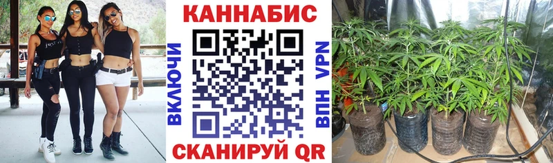 Шишки марихуана LSD WEED  Катайск 